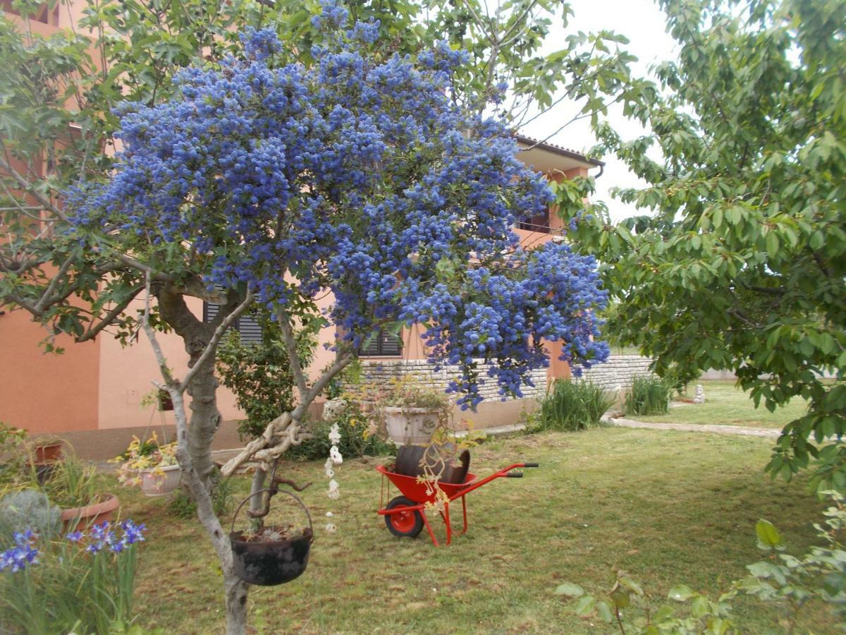 Apartmán Ella Pula Exteriér fotografie
